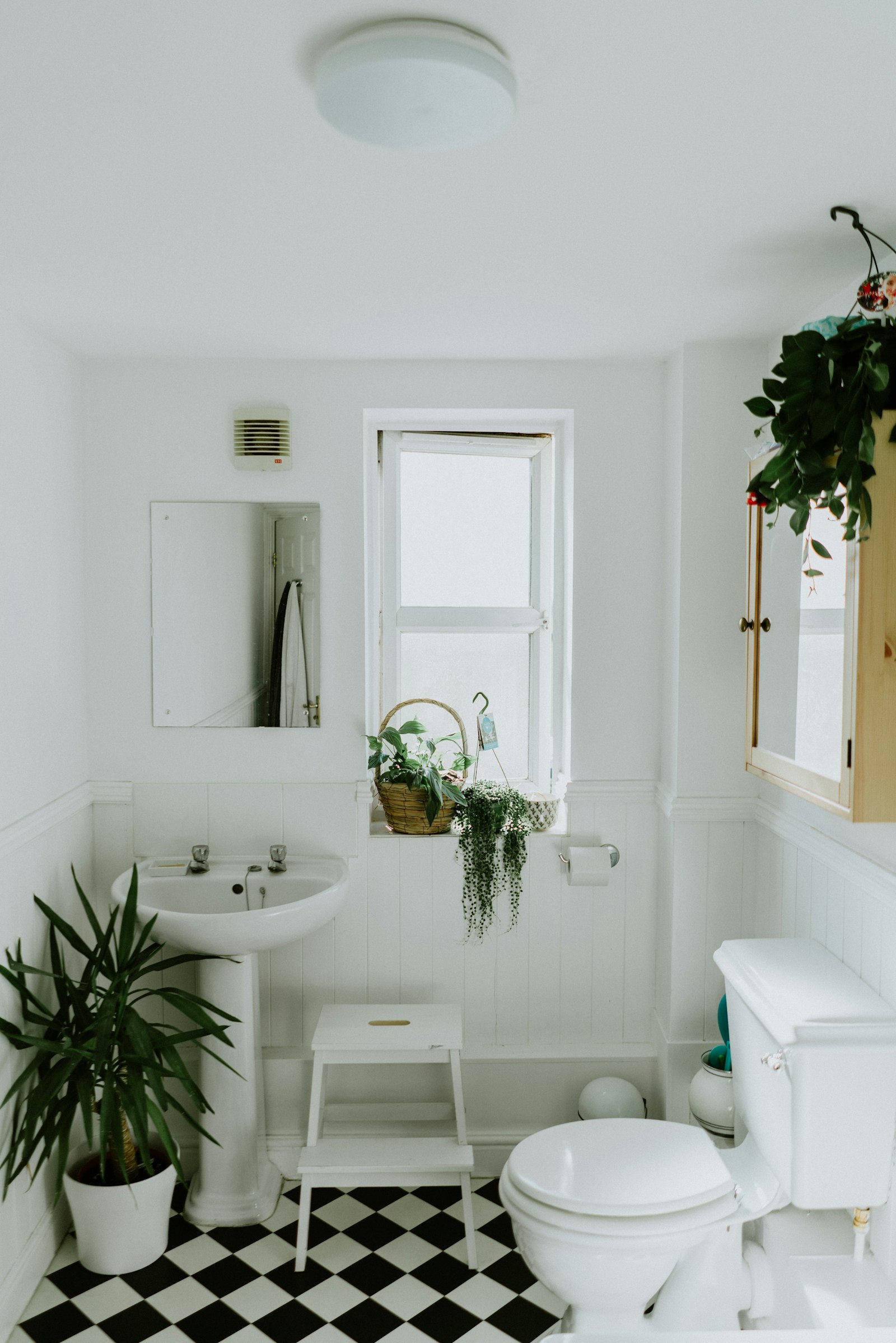 Bathroom renovation inspiration